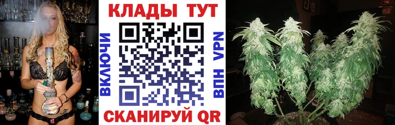 Купить закладку Псилоцибиновые грибы  Альфа ПВП  Марихуана  Меф  COCAIN  АМФ  Фролово