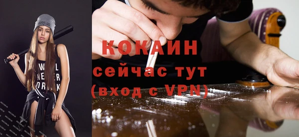 спайс Горняк