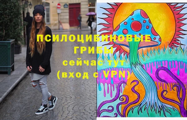 дурь Горнозаводск